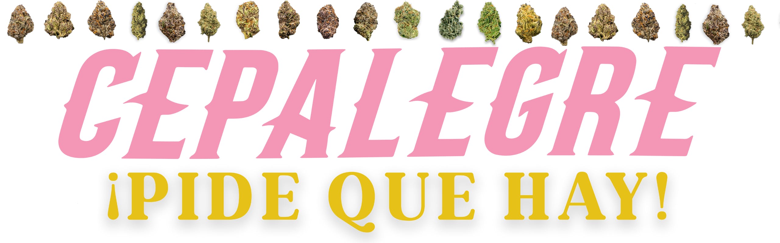 Cepalegre brand banner