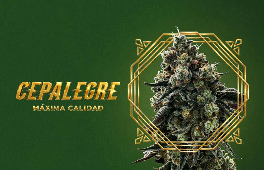 Cepalegre