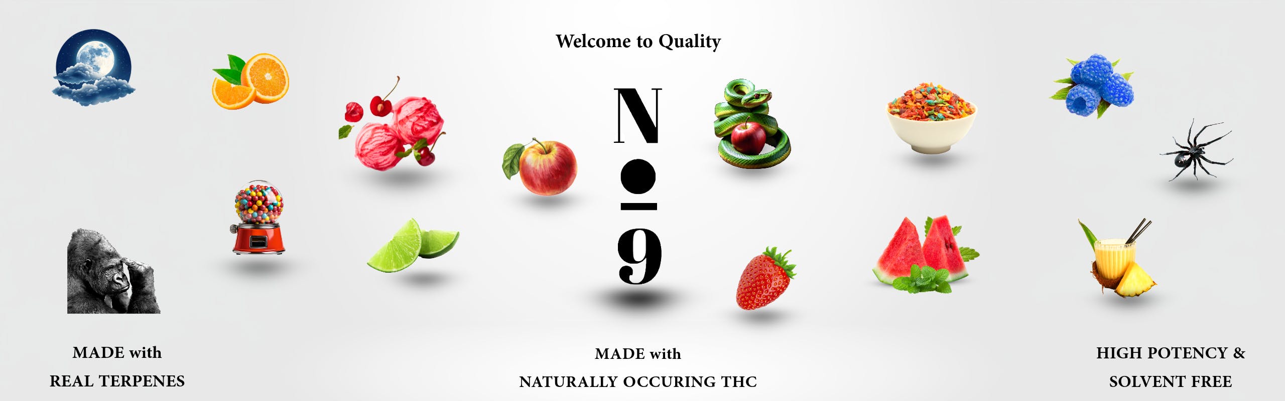 No9 brand banner