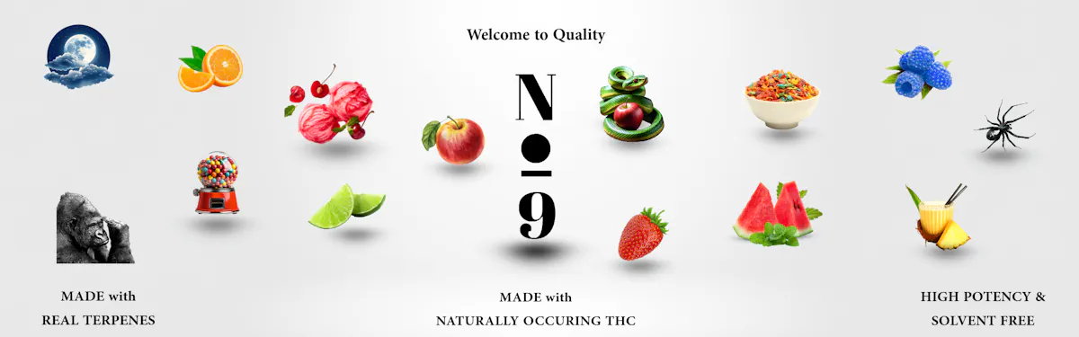 No9 brand banner