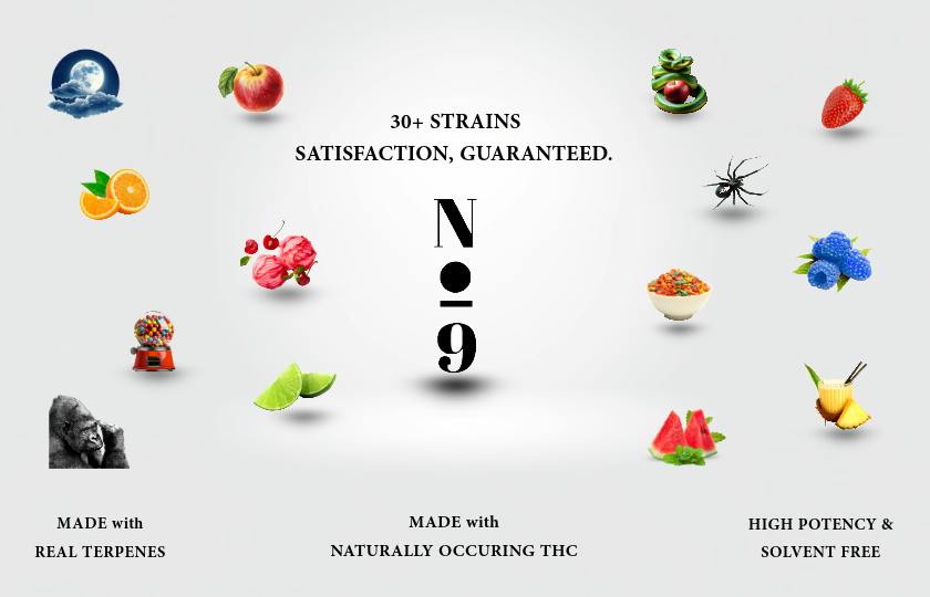 No9