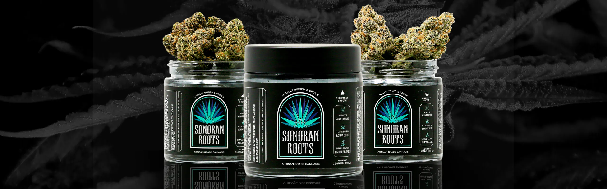 Sonoran Roots brand banner