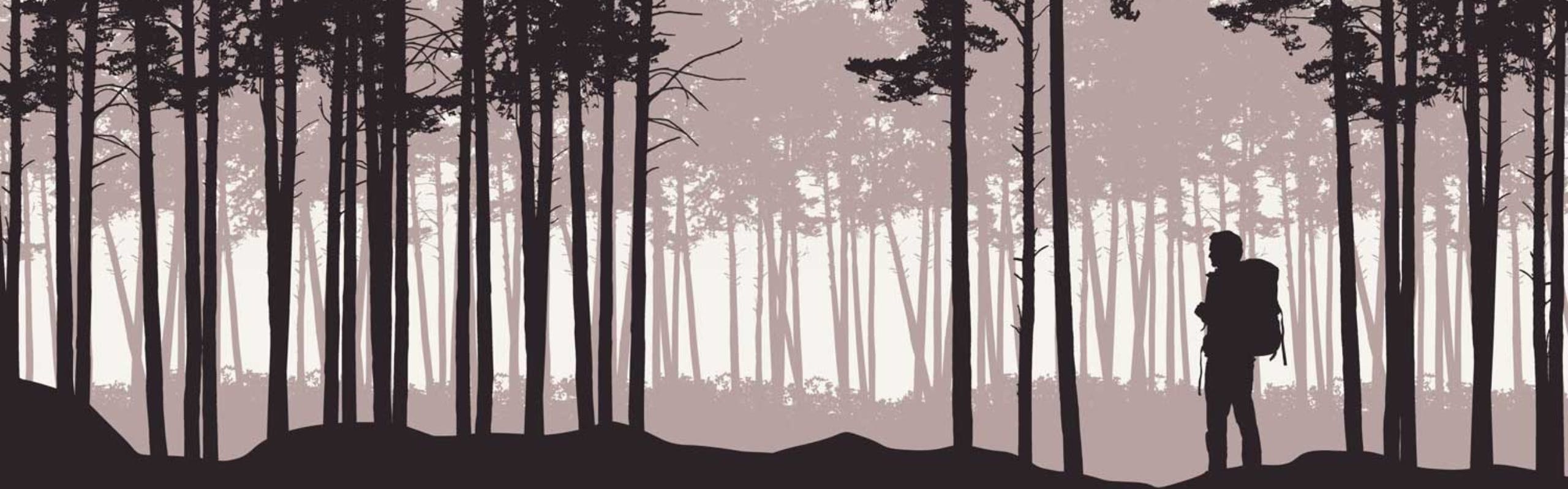 Camp Cannabis brand banner