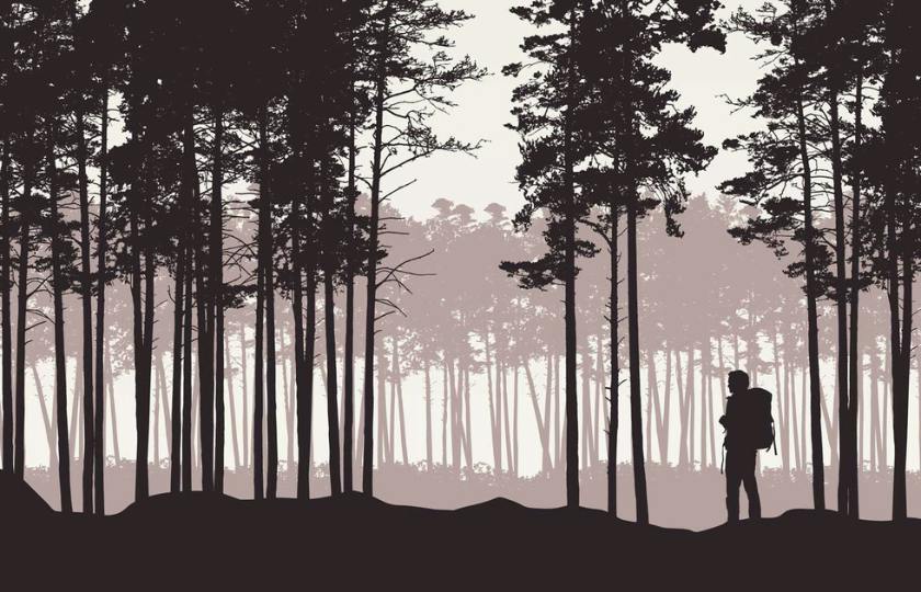 Camp Cannabis