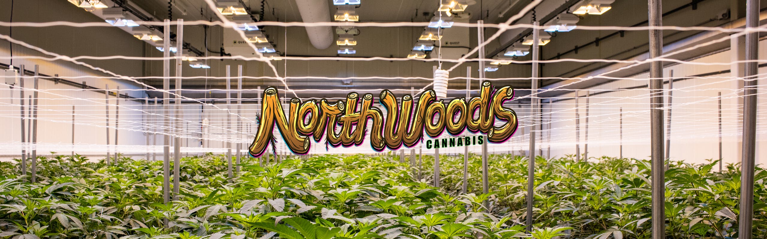 Northwoods Cannabis brand banner