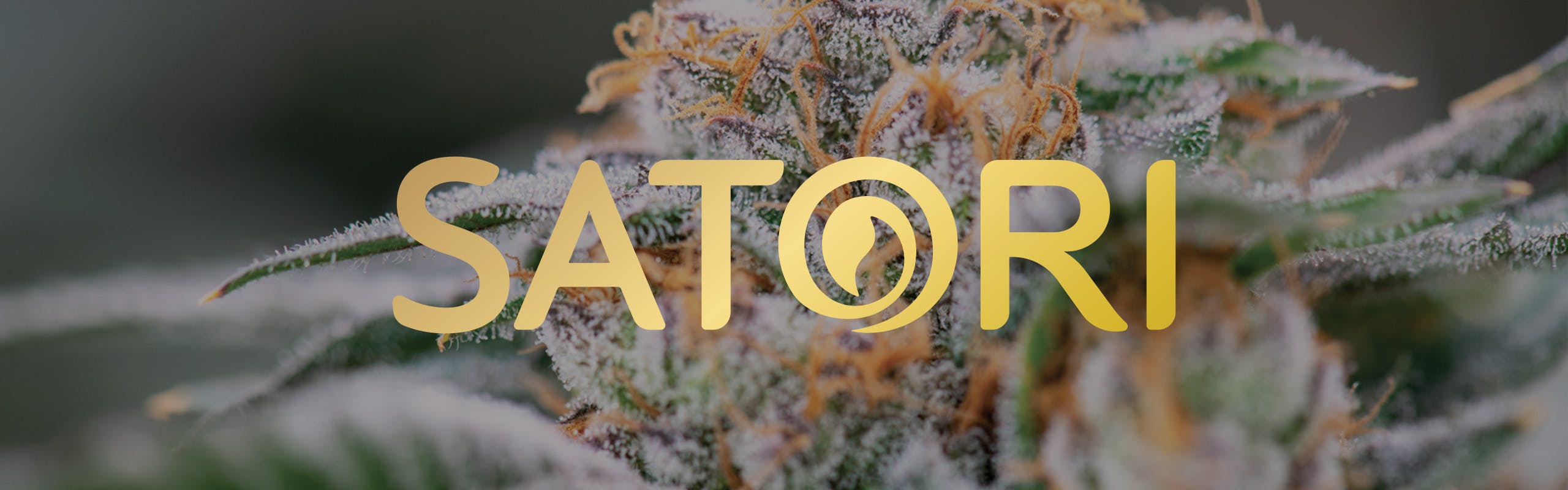 Satori brand banner