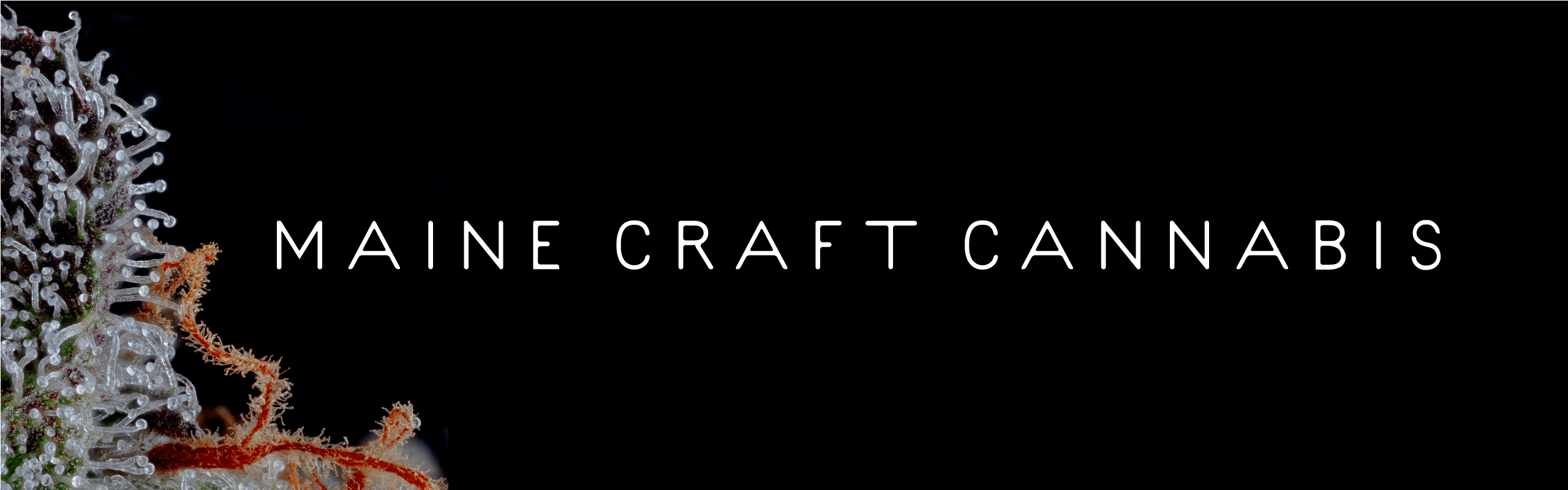 Maine Craft Cannabis brand banner