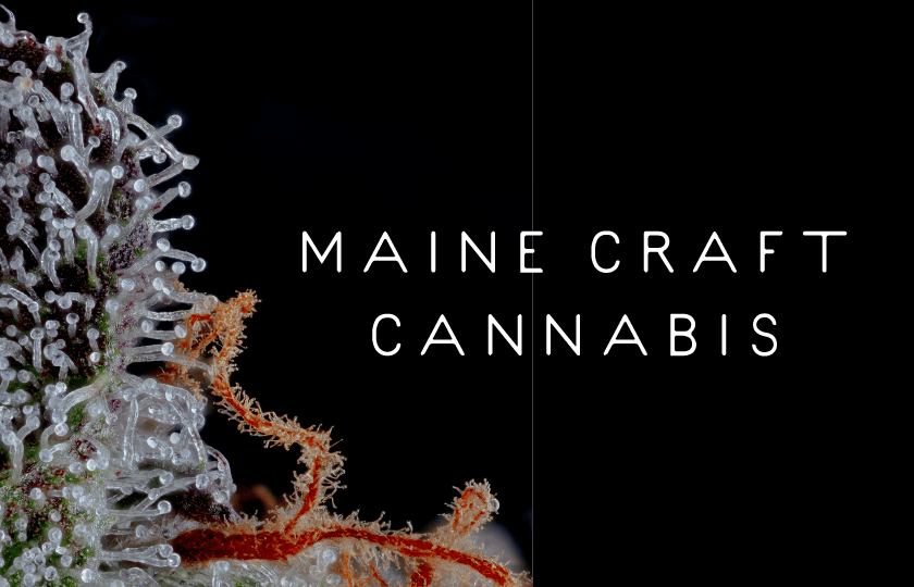 Maine Craft Cannabis