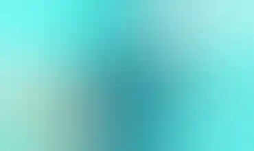 Teal Labs LLC