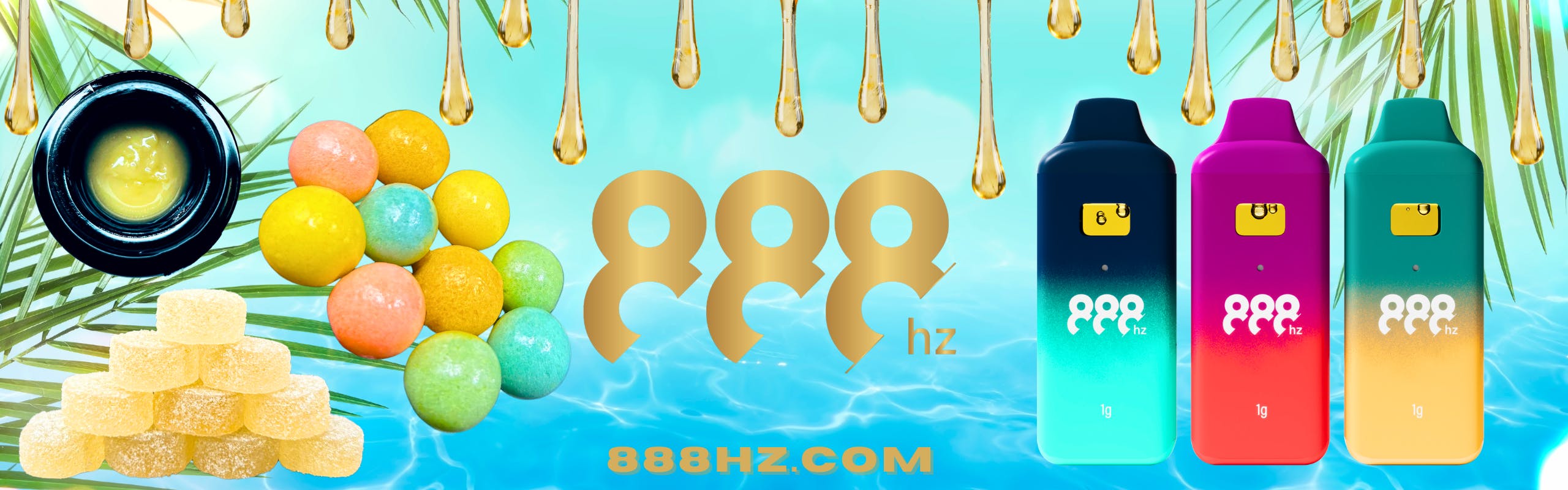888hz brand banner