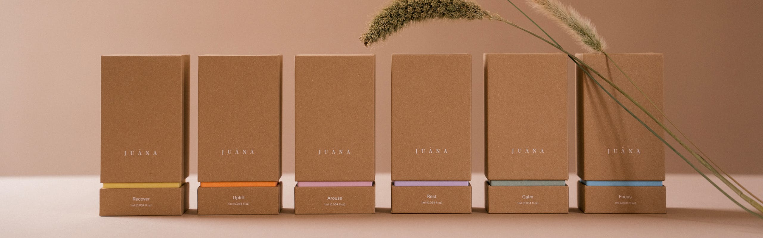 Juana brand banner