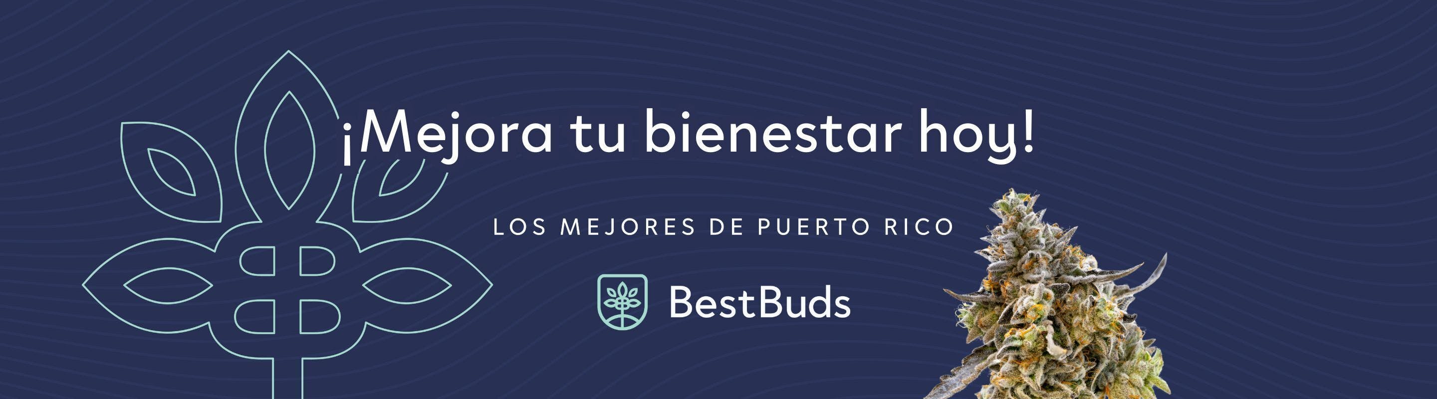 Best Buds PR OFFICIAL brand banner