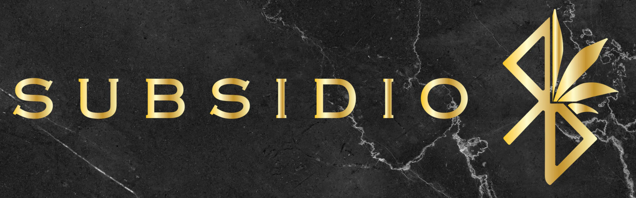 Subsidio brand banner