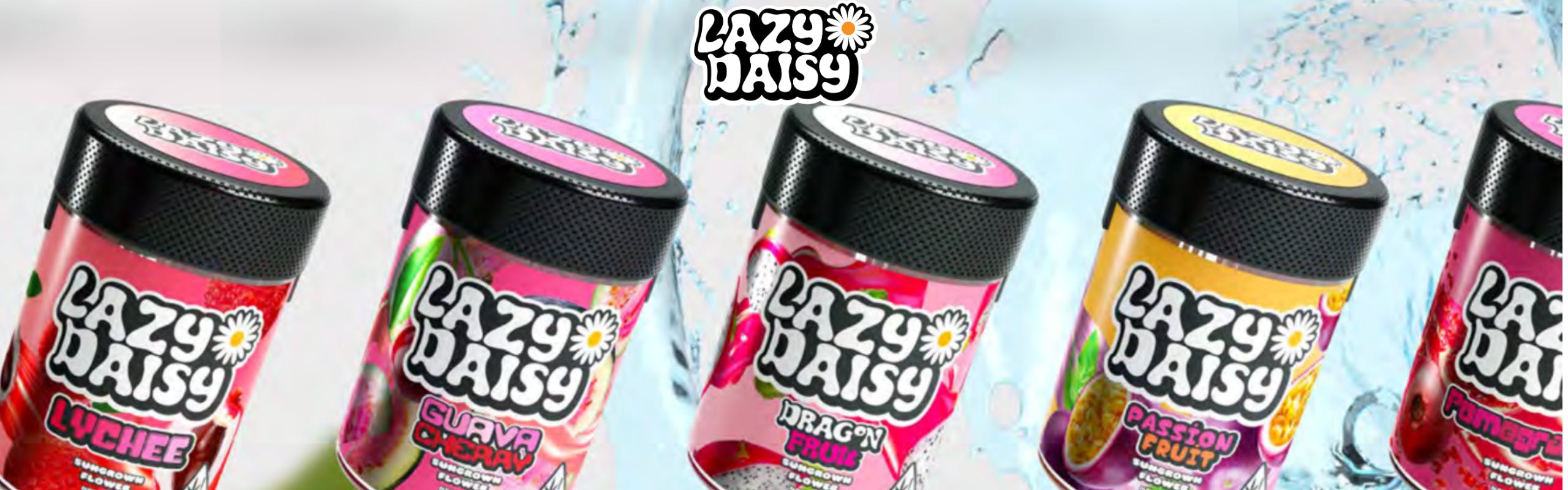 Lazy Daisy brand banner