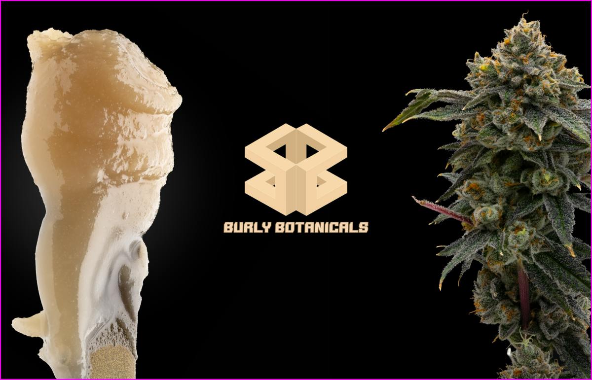 Burly Botanicals