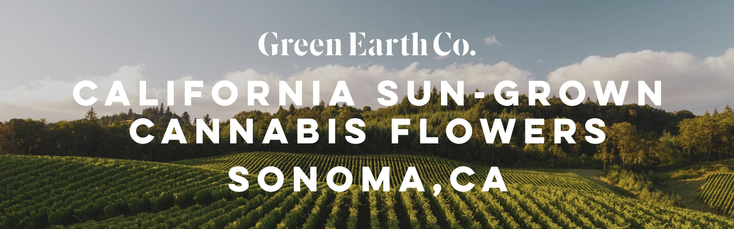 Green Earth Co. brand banner