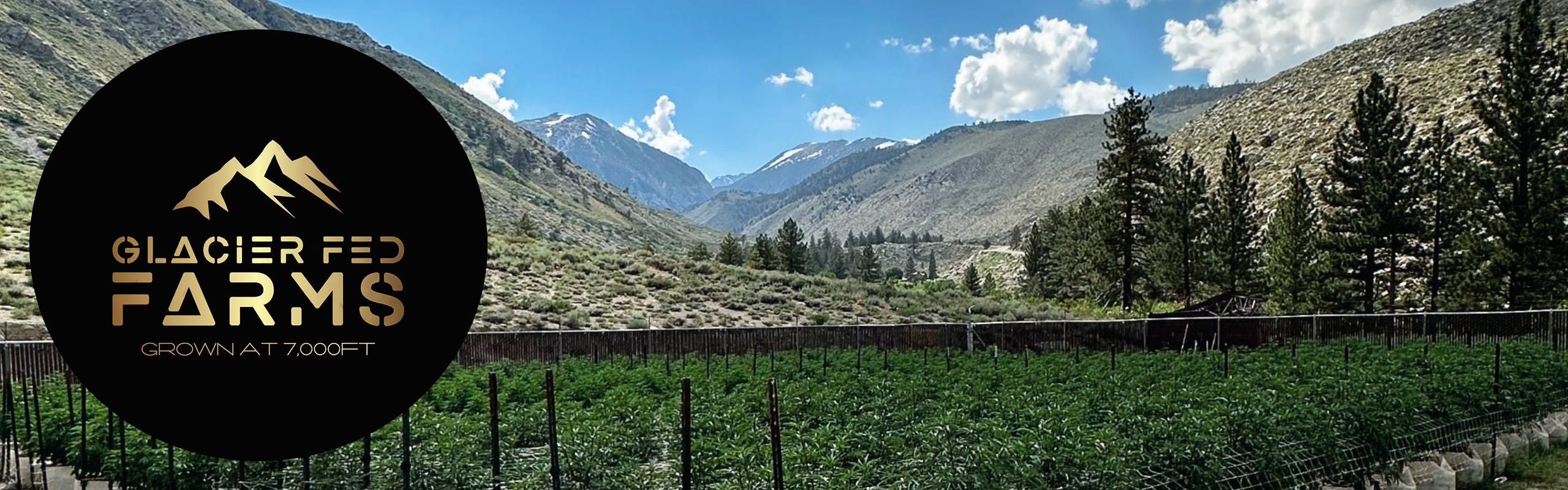 Glacier Fed Farms brand banner