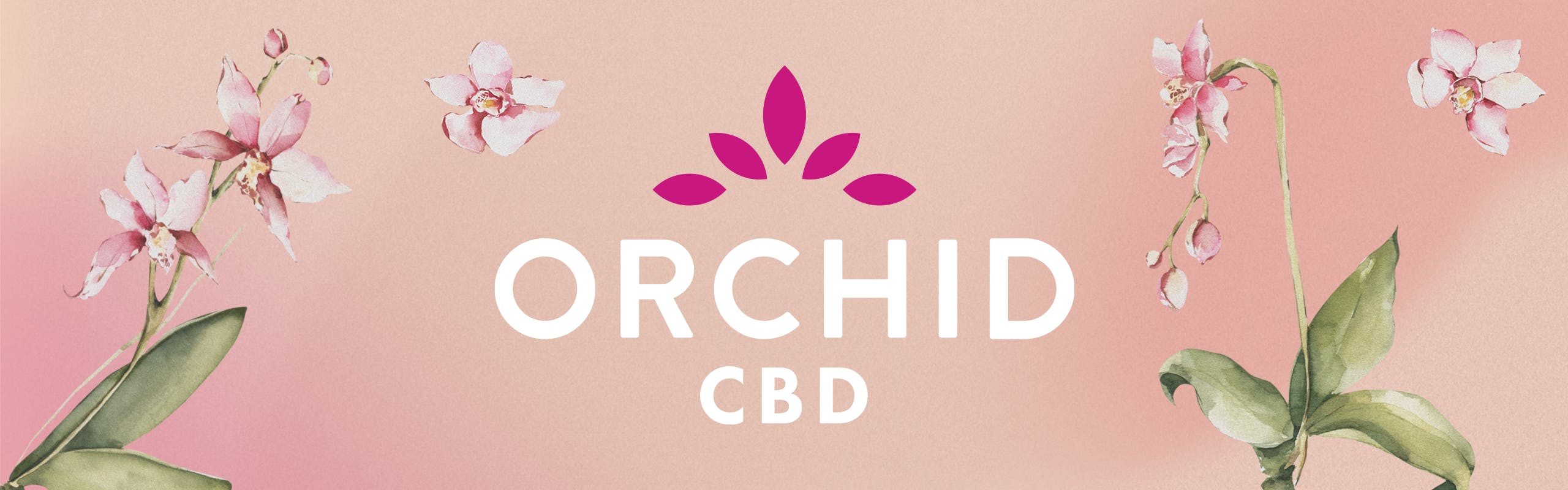 Orchid CBD brand banner