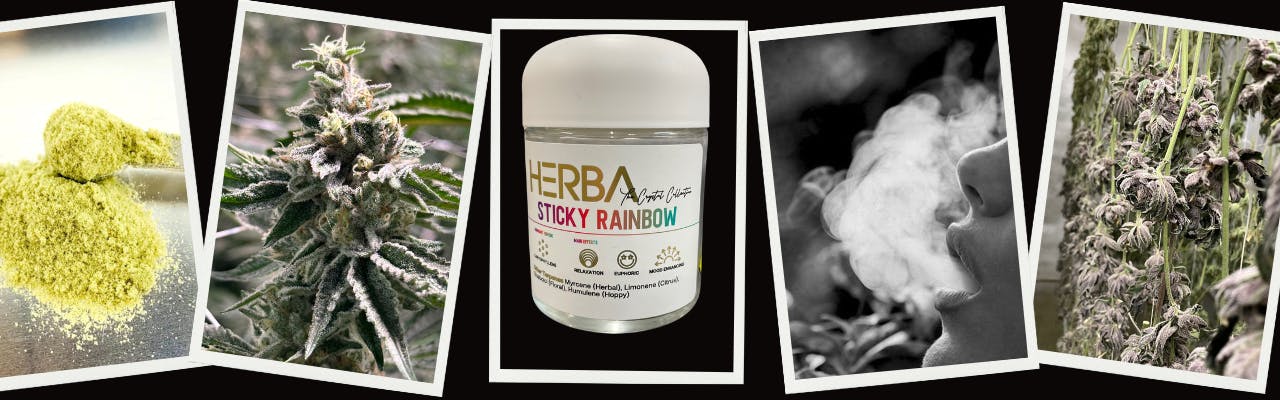 HERBA brand banner