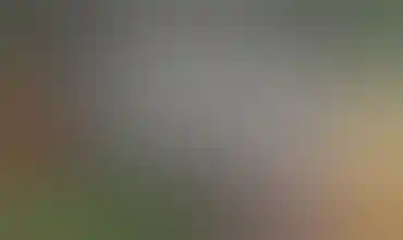 Grassfire