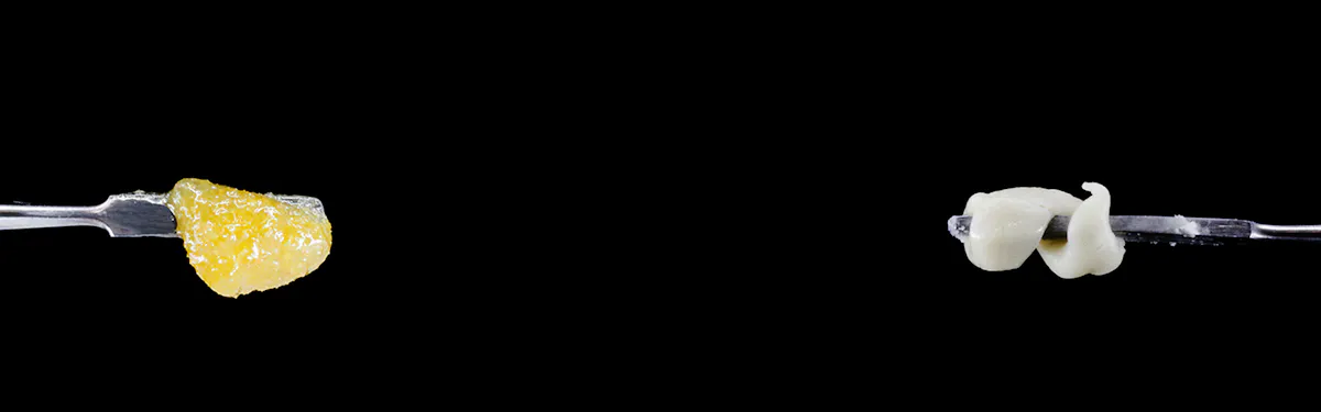 Shasta Flower and Hash Company brand banner
