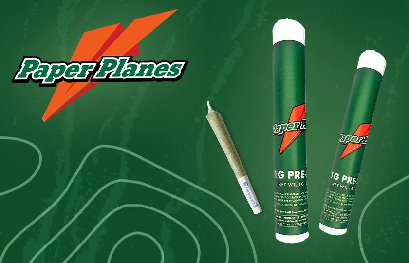 Paper Planes (MI)