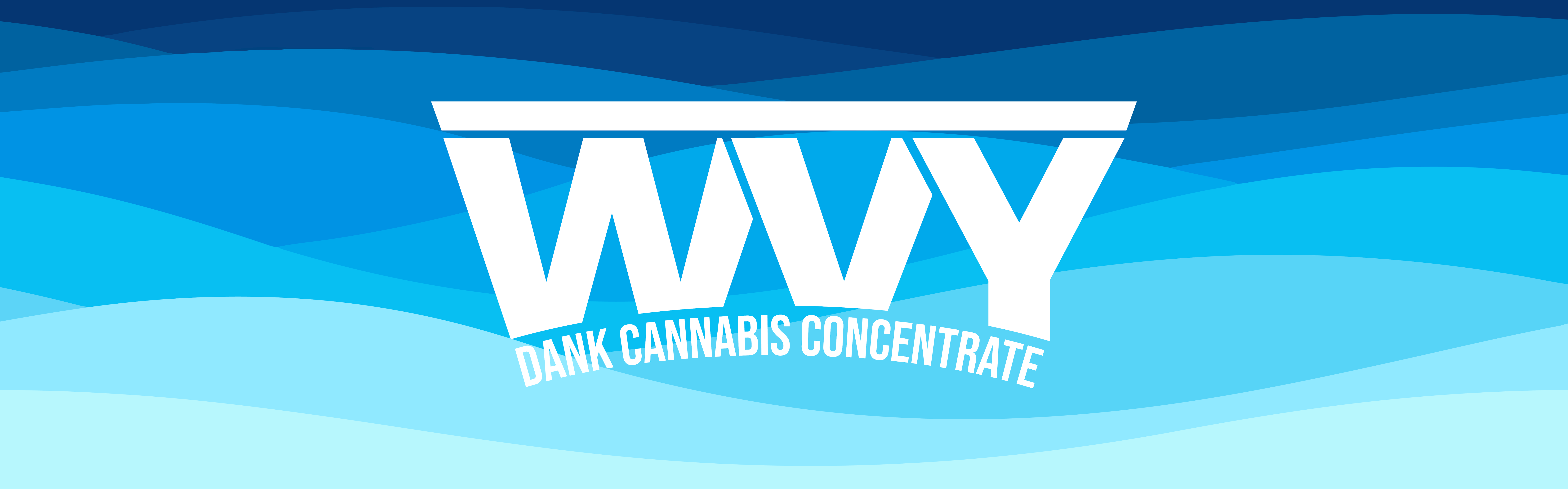 WVY brand banner