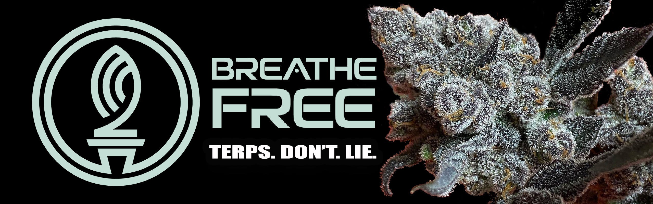 Breathe Free brand banner