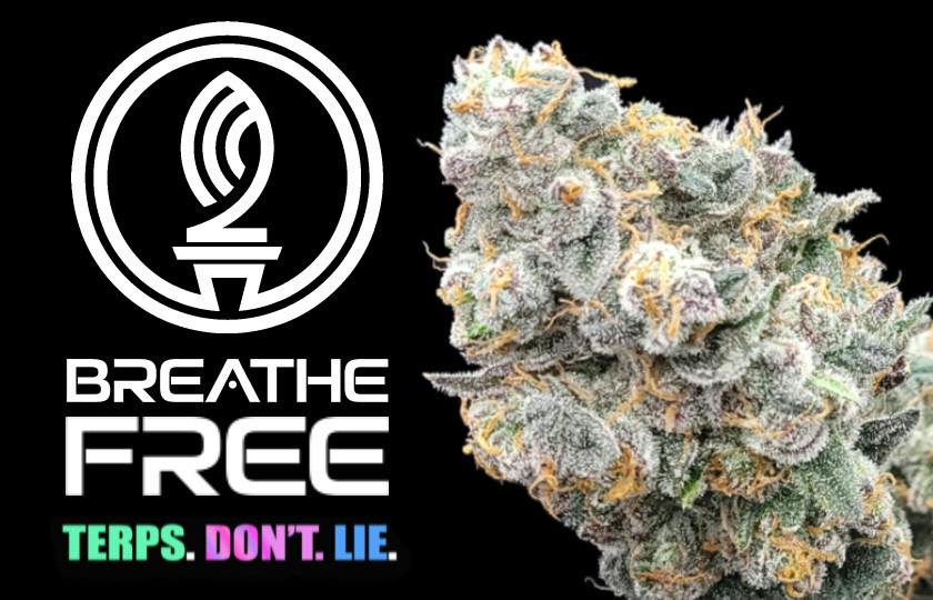 Breathe Free