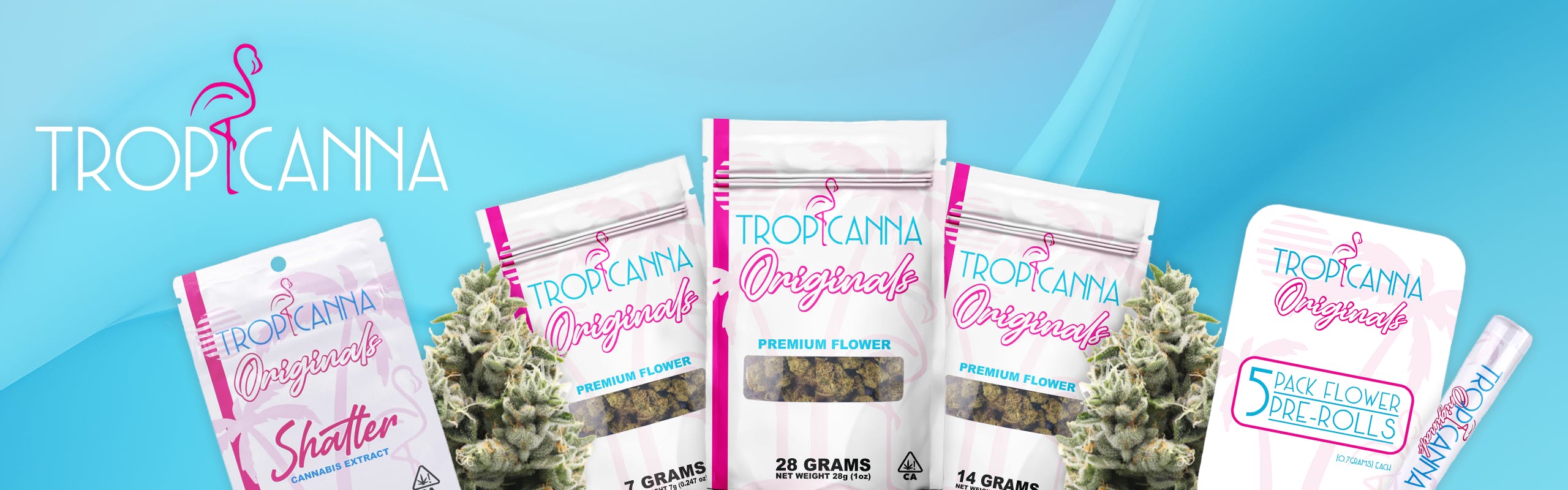 Tropicanna Originals brand banner