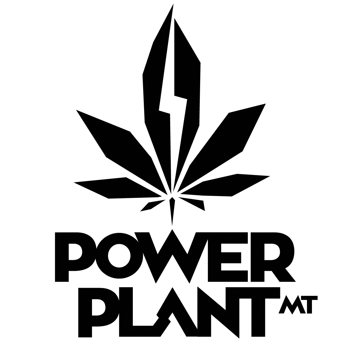 Power Plant MT brand banner