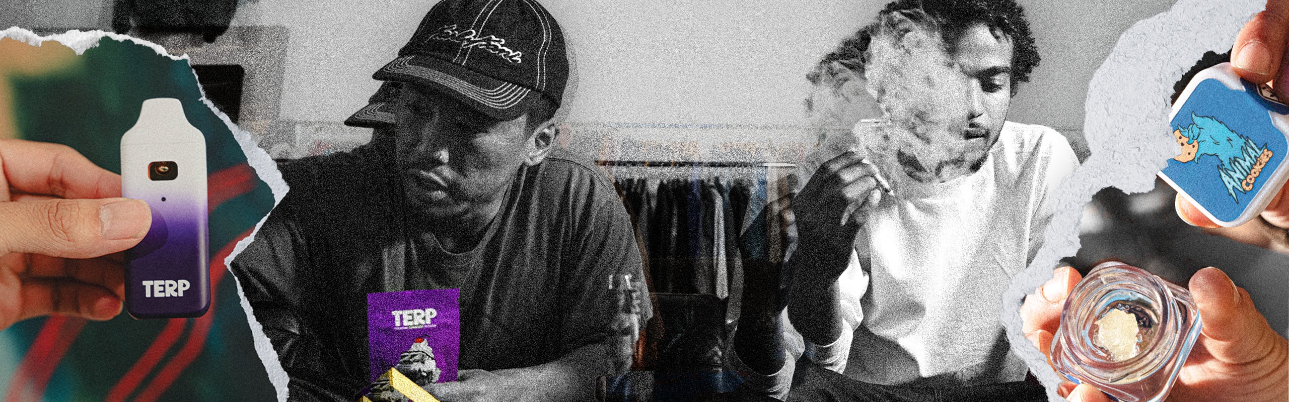 TERP Brand brand banner