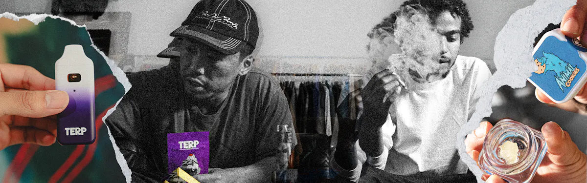 TERP Brand brand banner