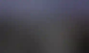 Miss Perry Northeastern Reserve