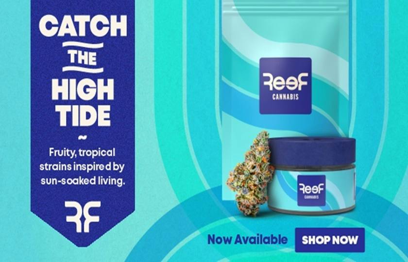 REEF Cannabis