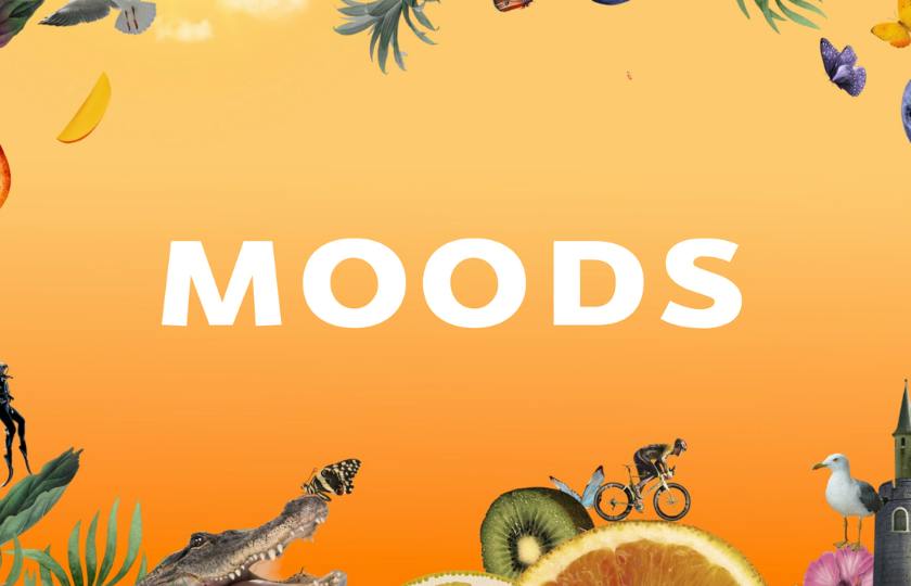 MOODS Cannabis