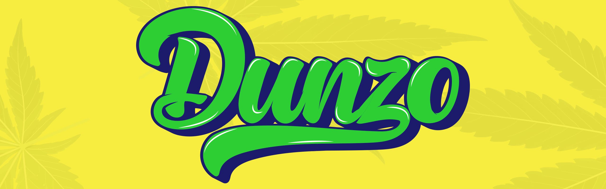 Dunzo brand banner