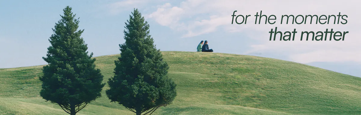 Little Tree brand banner