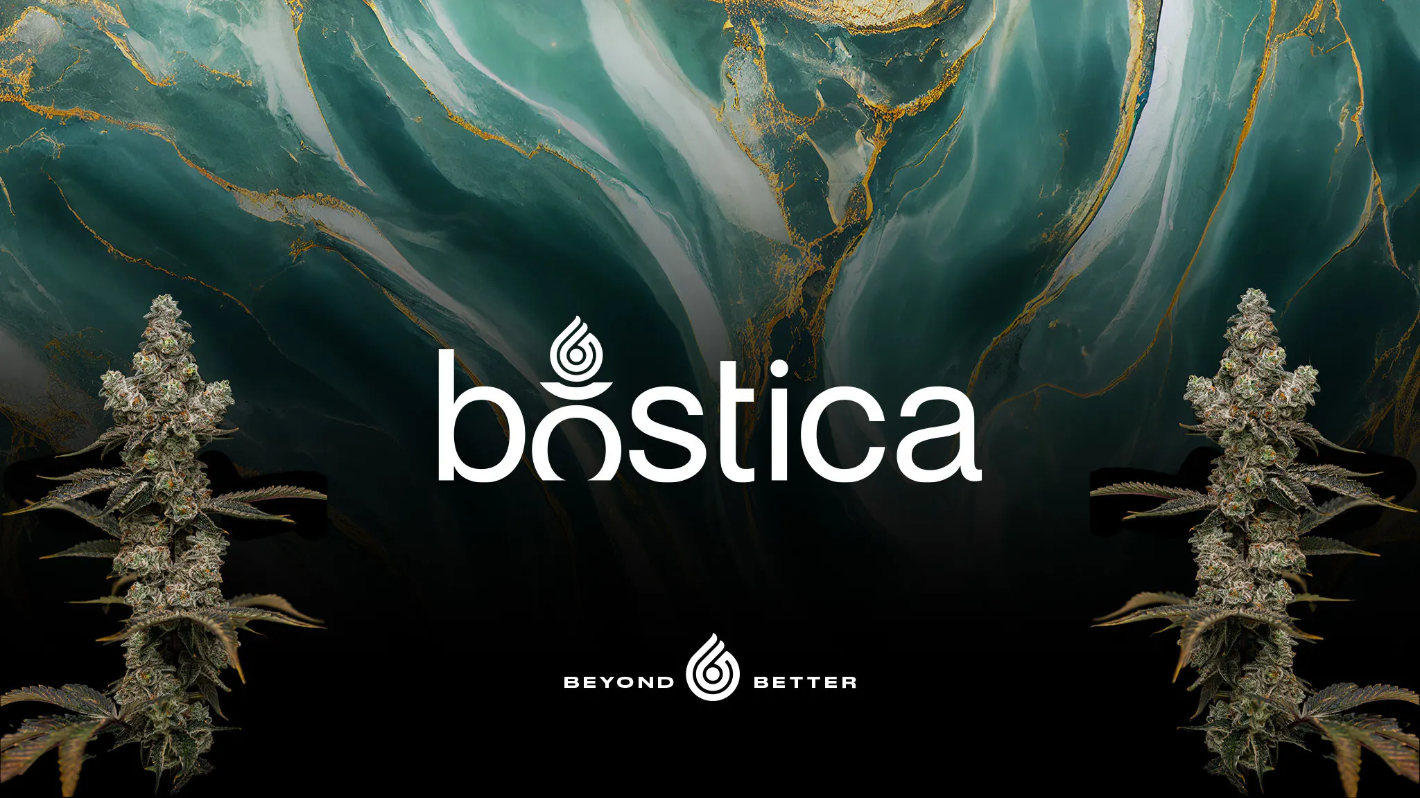 Bostica brand banner