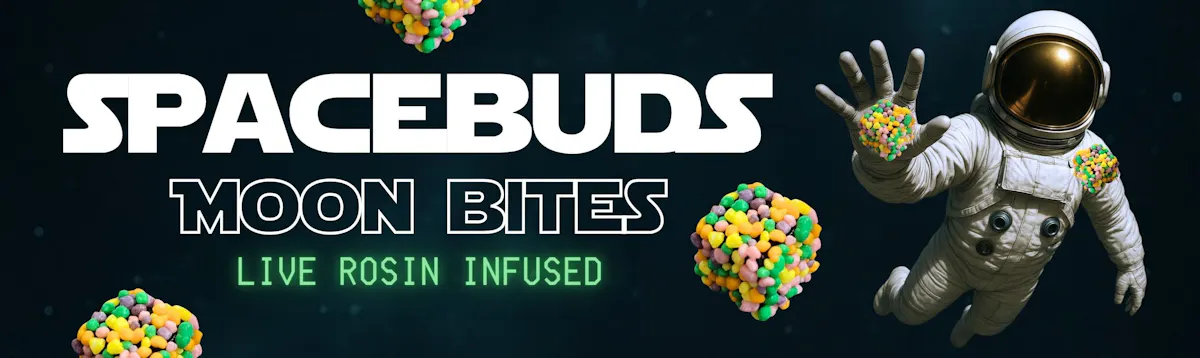 Spacebuds brand banner
