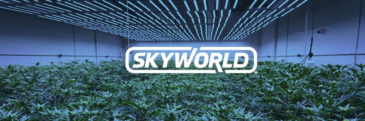 Skyworld brand banner