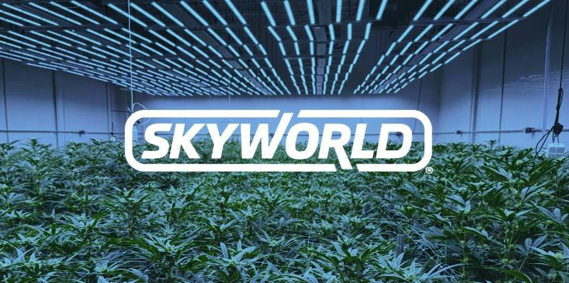 Skyworld