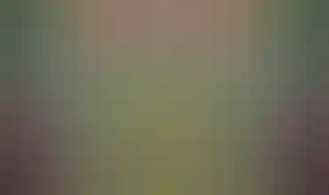 Smoke CA