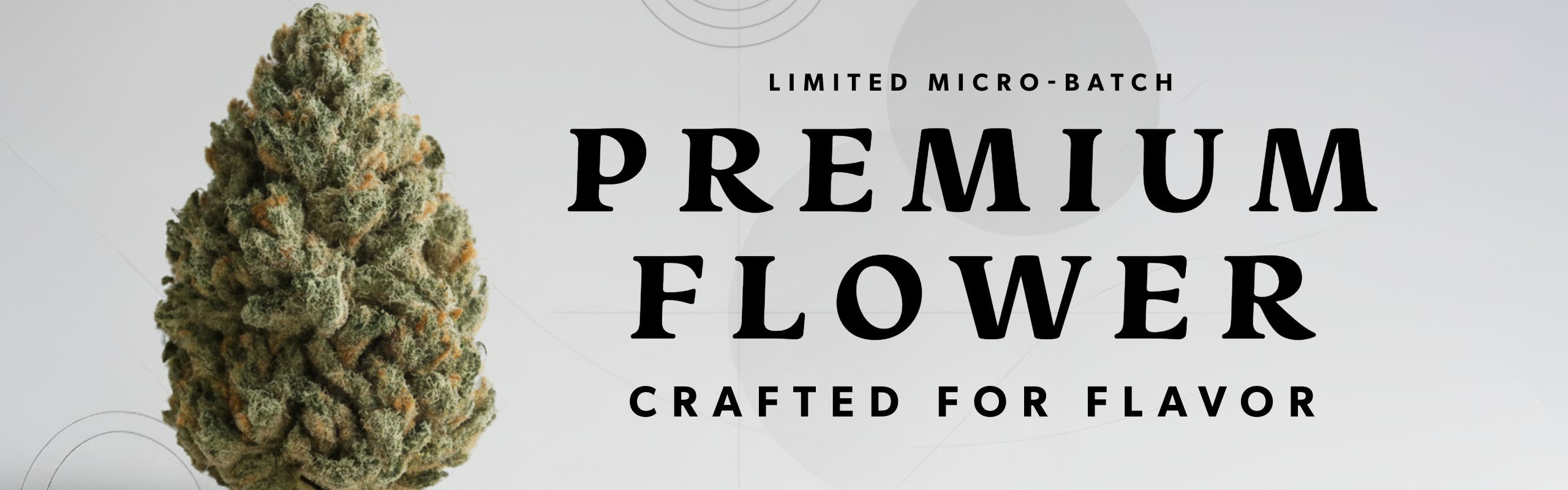 TacocaT brand banner