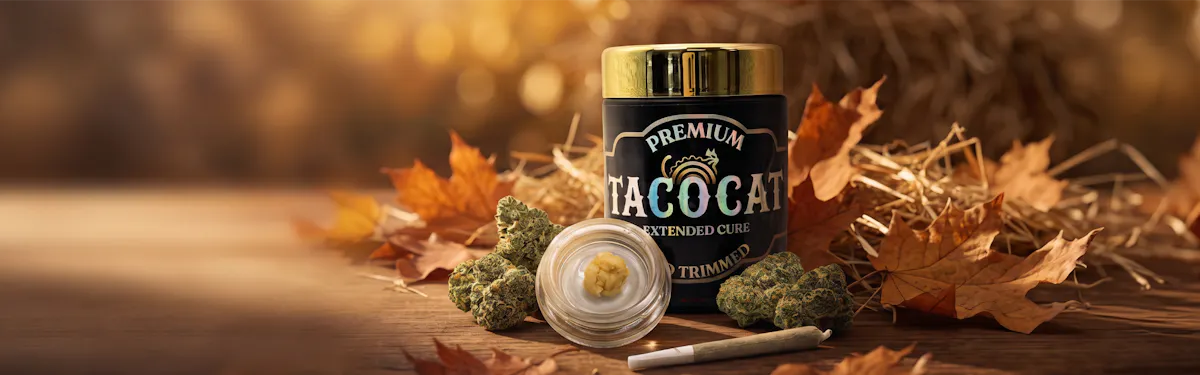 TacocaT brand banner