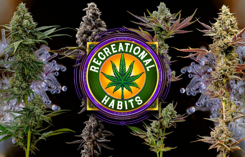 Recreational Habits