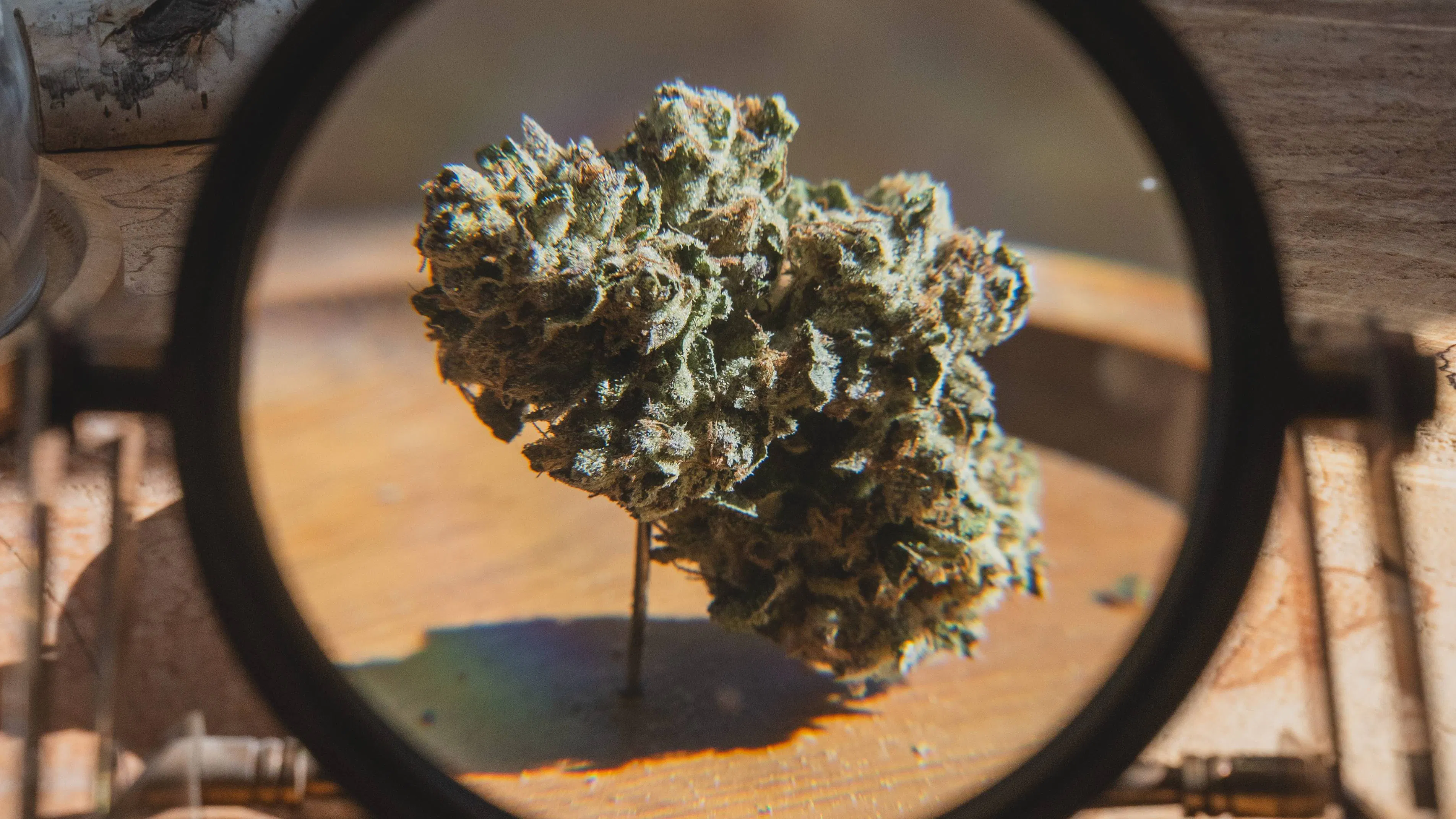 Sunkissed Farm brand banner