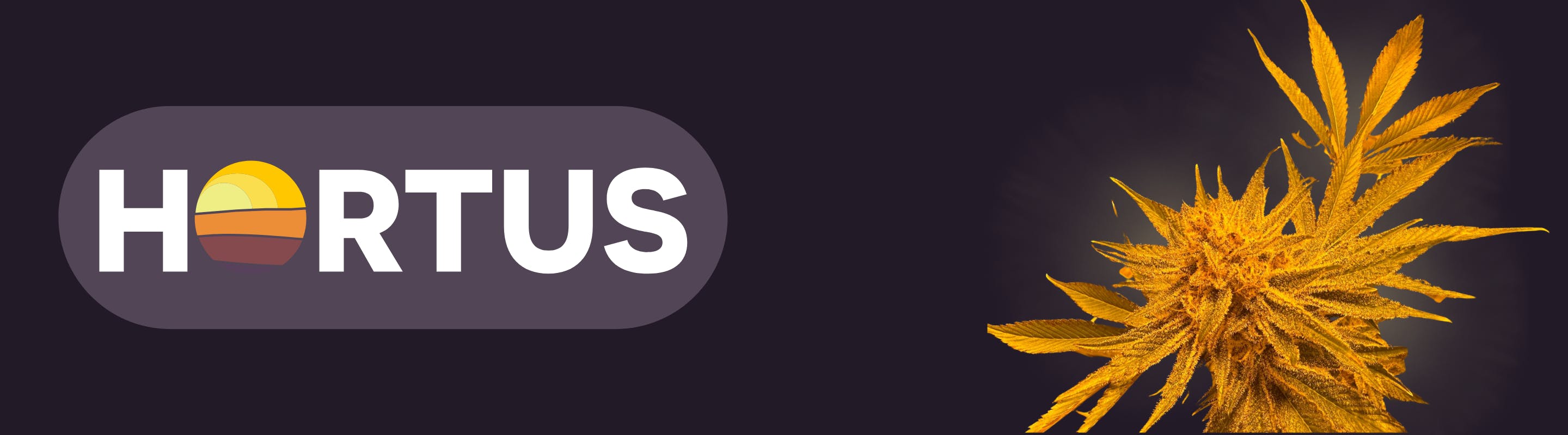 Hortus brand banner