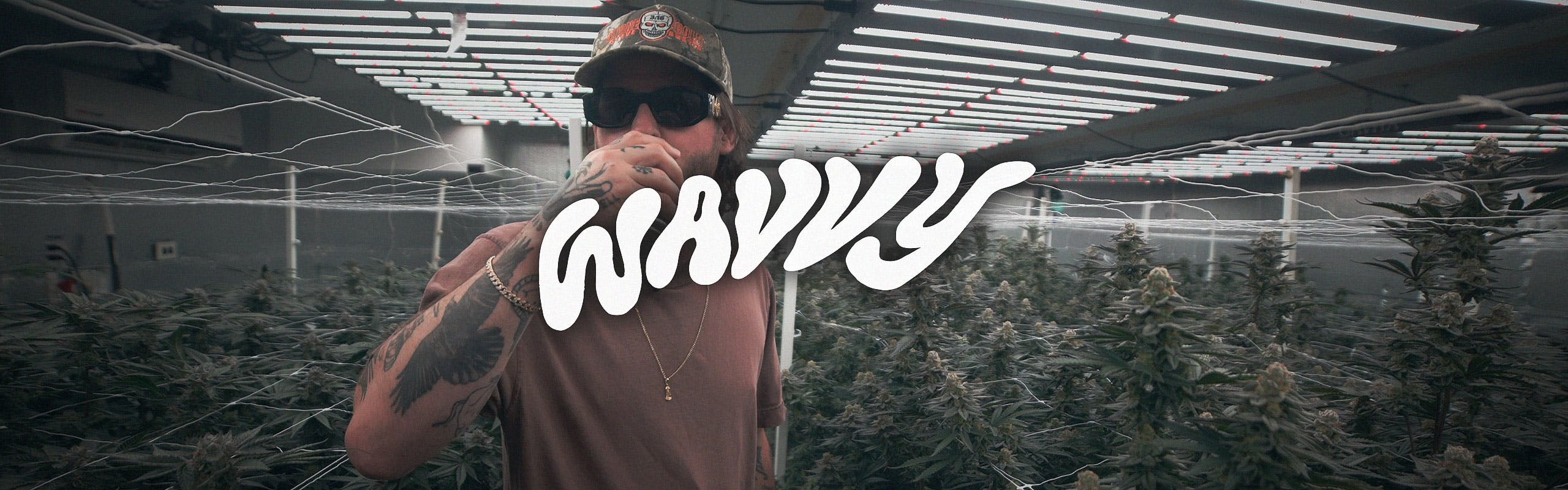 Wavvy brand banner