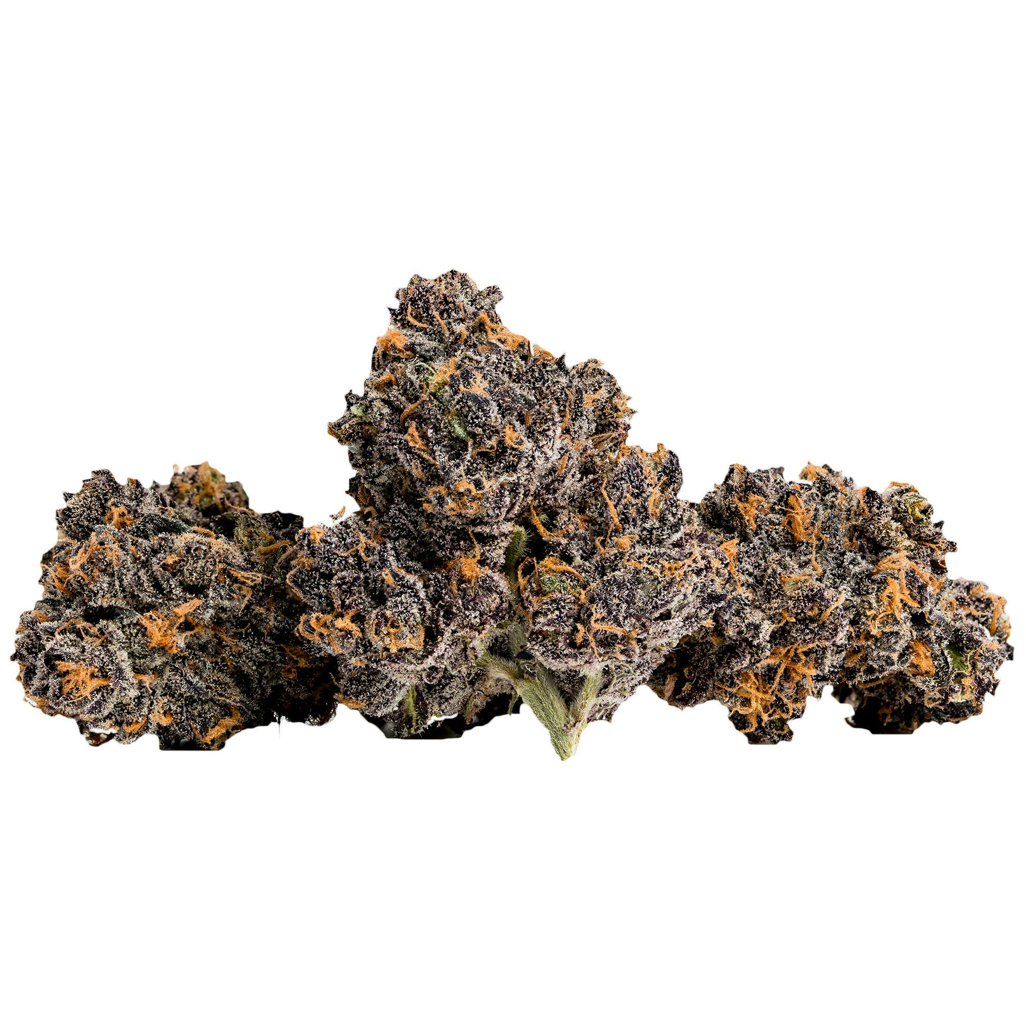 Presidential Garden brand banner